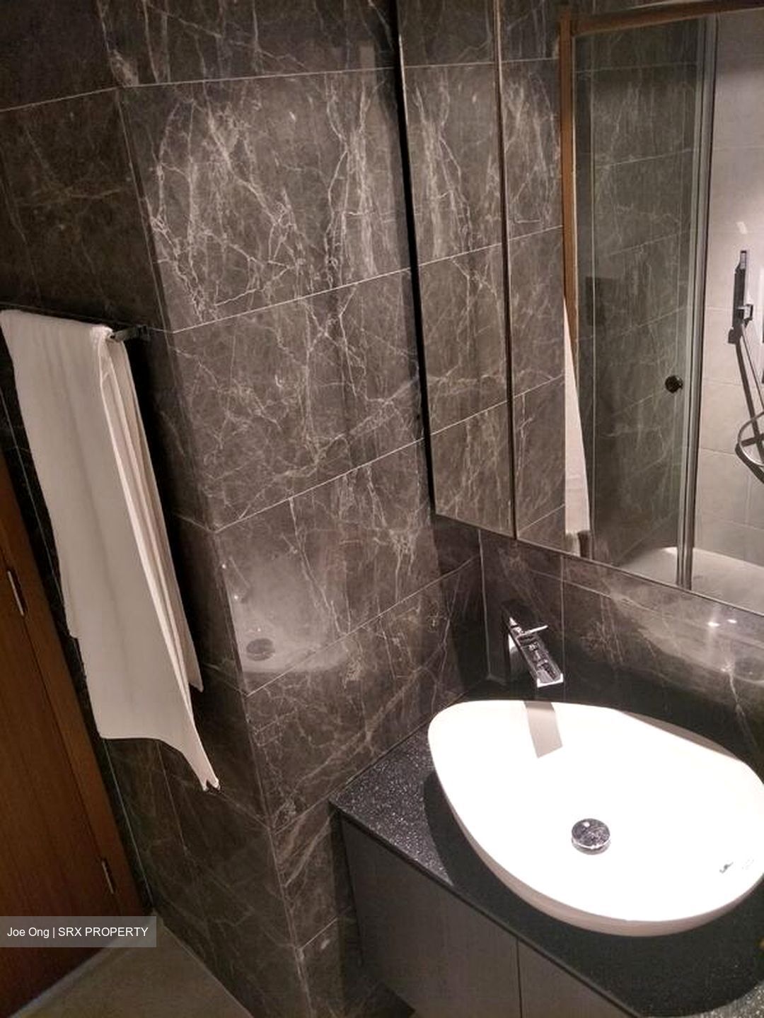 Spottiswoode Suites (D2), Apartment #506397361